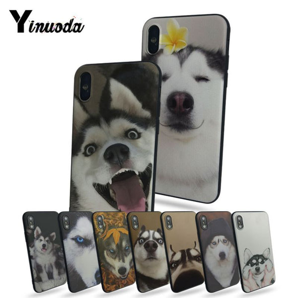 Yinuoda Husky cute simple phone cases For iphone 8 8plus 7 7plus 6 6plus 5 5s 5c SE Mobile cover