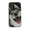 Yinuoda Husky cute simple phone cases For iphone 8 8plus 7 7plus 6 6plus 5 5s 5c SE Mobile cover