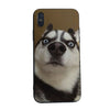 Yinuoda Husky cute simple phone cases For iphone 8 8plus 7 7plus 6 6plus 5 5s 5c SE Mobile cover